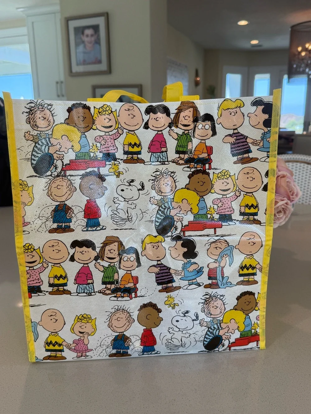 Peanuts shopper tote NWT snoopy, Charlie Brown, Lucy Peanuts gang